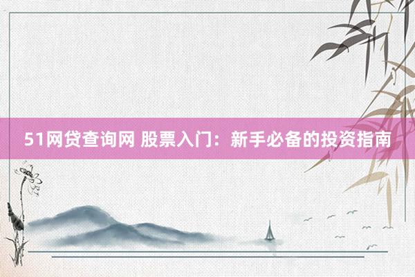 51网贷查询网 股票入门：新手必备的投资指南