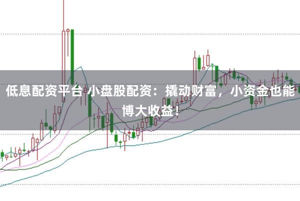 低息配资平台 小盘股配资：撬动财富，小资金也能博大收益！