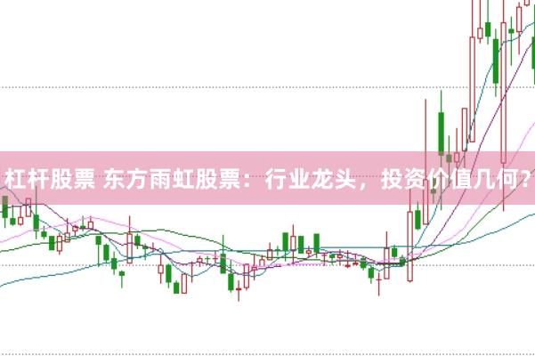 杠杆股票 东方雨虹股票：行业龙头，投资价值几何？