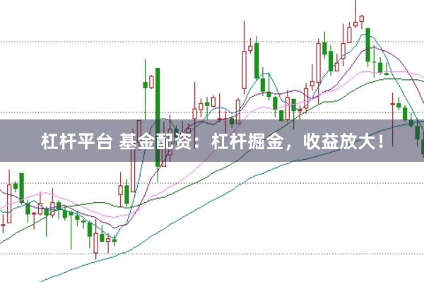 杠杆平台 基金配资：杠杆掘金，收益放大！