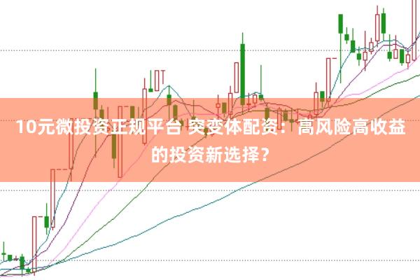 10元微投资正规平台 突变体配资：高风险高收益的投资新选择？