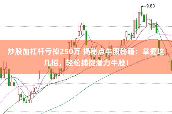 炒股加杠杆亏掉250万 揭秘点牛股秘籍：掌握这几招，轻松捕捉潜力牛股！