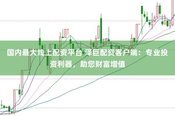 国内最大线上配资平台 泽巨配资客户端：专业投资利器，助您财富增值