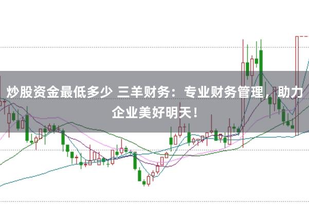 炒股资金最低多少 三羊财务：专业财务管理，助力企业美好明天！