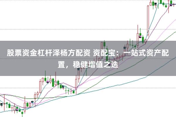 股票资金杠杆泽杨方配资 资配宝：一站式资产配置，稳健增值之选