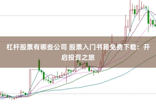 杠杆股票有哪些公司 股票入门书籍免费下载：开启投资之旅
