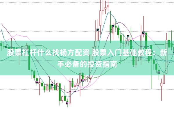 股票杠杆什么找杨方配资 股票入门基础教程：新手必备的投资指南