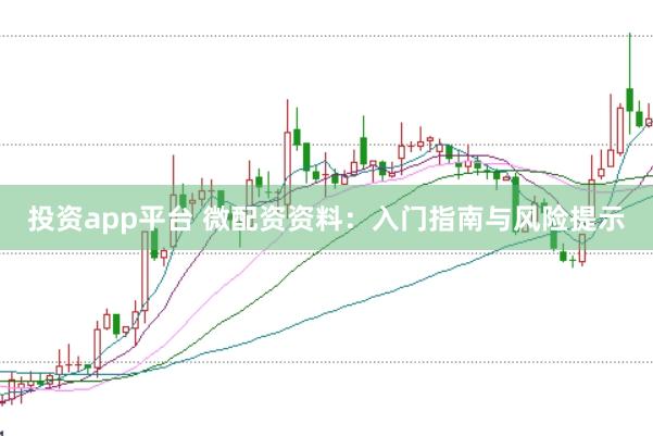 投资app平台 微配资资料：入门指南与风险提示