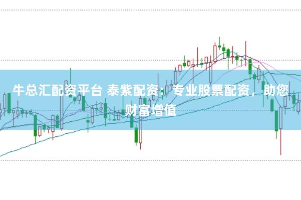 牛总汇配资平台 泰紫配资：专业股票配资，助您财富增值