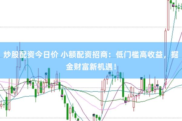 炒股配资今日价 小额配资招商：低门槛高收益，掘金财富新机遇！