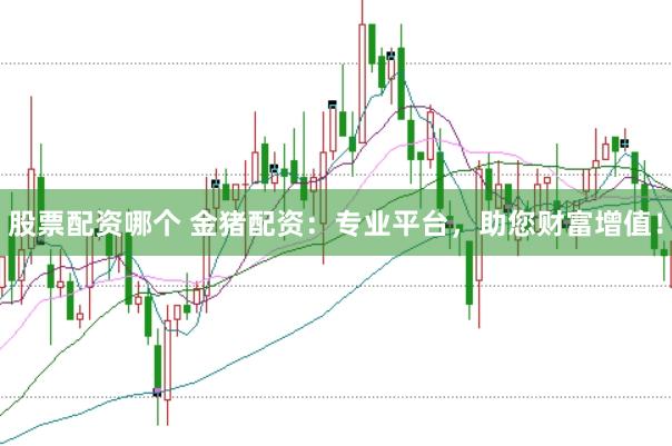 股票配资哪个 金猪配资：专业平台，助您财富增值！