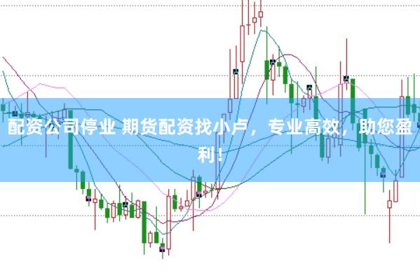 配资公司停业 期货配资找小卢，专业高效，助您盈利！