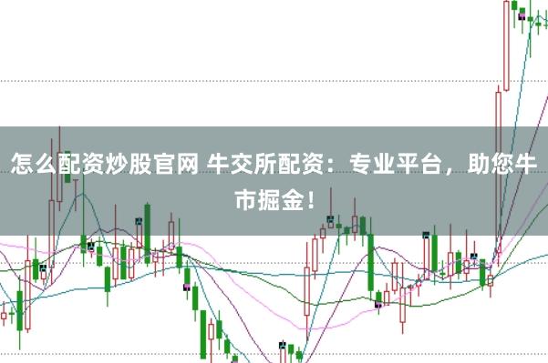 怎么配资炒股官网 牛交所配资：专业平台，助您牛市掘金！