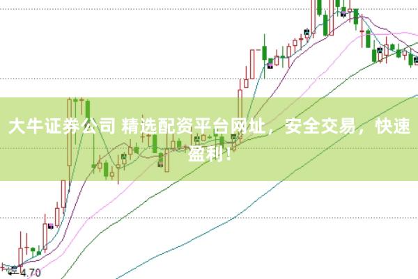 大牛证券公司 精选配资平台网址，安全交易，快速盈利！