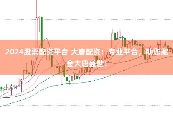 2024股票配资平台 大唐配资：专业平台，助您掘金大唐盛世！