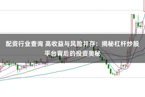 配资行业查询 高收益与风险并存:揭秘杠杆炒股平台背后的投资奥秘