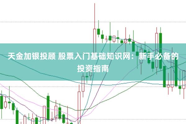 天金加银投顾 股票入门基础知识网:新手必备的投资指南