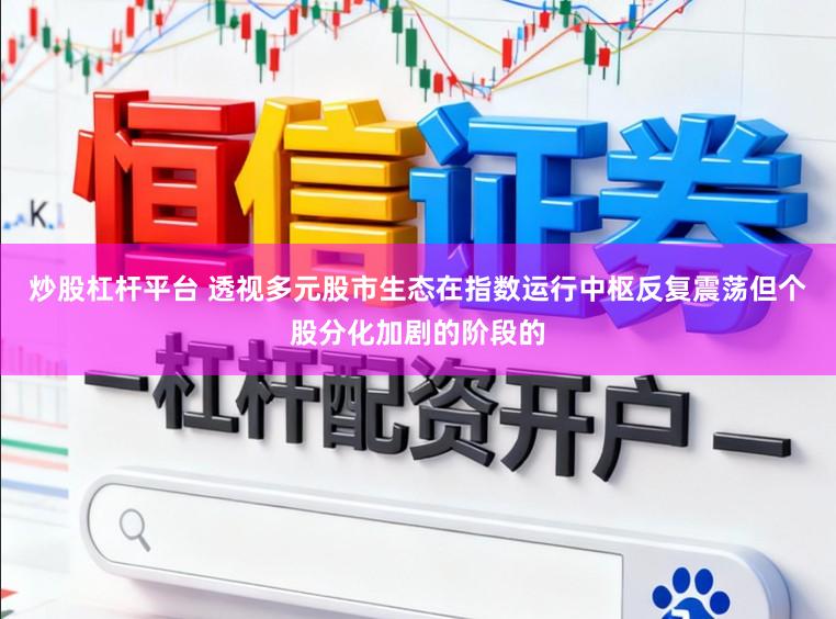 炒股杠杆平台 透视多元股市生态在指数运行中枢反复震荡但个股分化加剧的阶段的