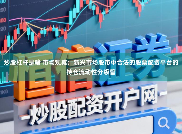 炒股杠杆是啥 市场观察：新兴市场股市中合法的股票配资平台的持仓流动性分级管